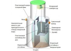 Биозон 4